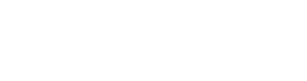 KYOWA — VALUE BY DESIGN